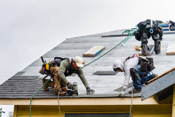 Professional Gutter Installation technician working in Williamsport, TN